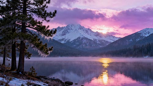 ӼҿƷ꣺2025 ͳɱҵѡ&#8203;