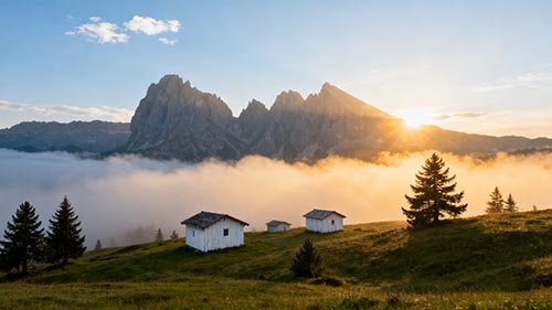 2025 ֿƷȫԣʵӯʵָ