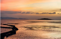 ��Ȥ��Ʒ�����ۻ��������Ҫ����Ǯ���᲻�������