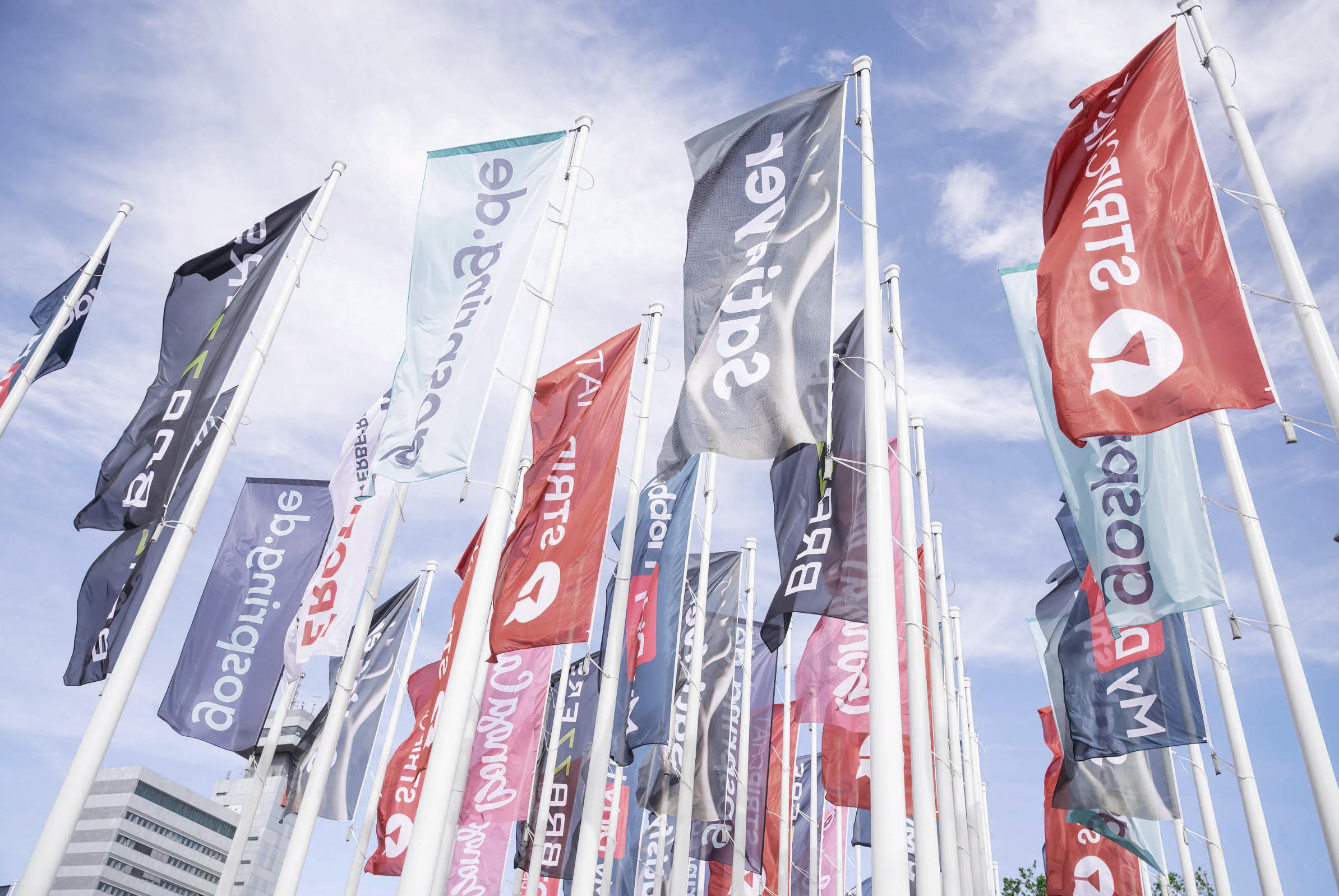 2025ֹʳչԲĻȫͼƬ33