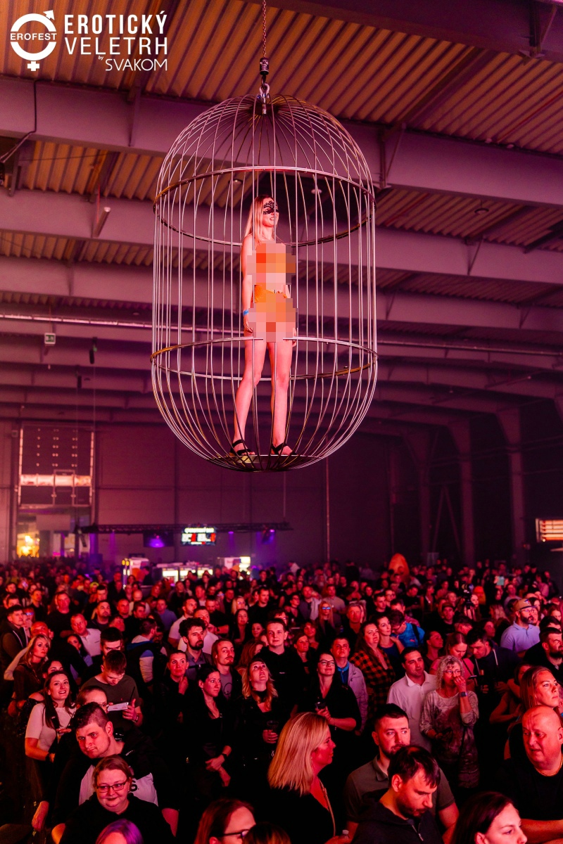 2025ݿȤƷչErofestԲɹͼƬ24