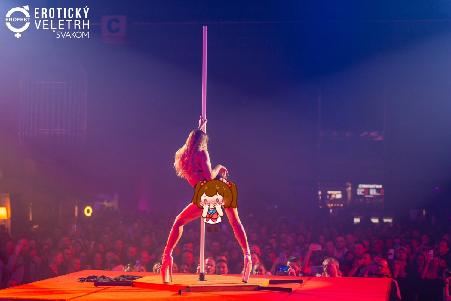 2025ݿȤƷչErofestԲɹͼƬ23