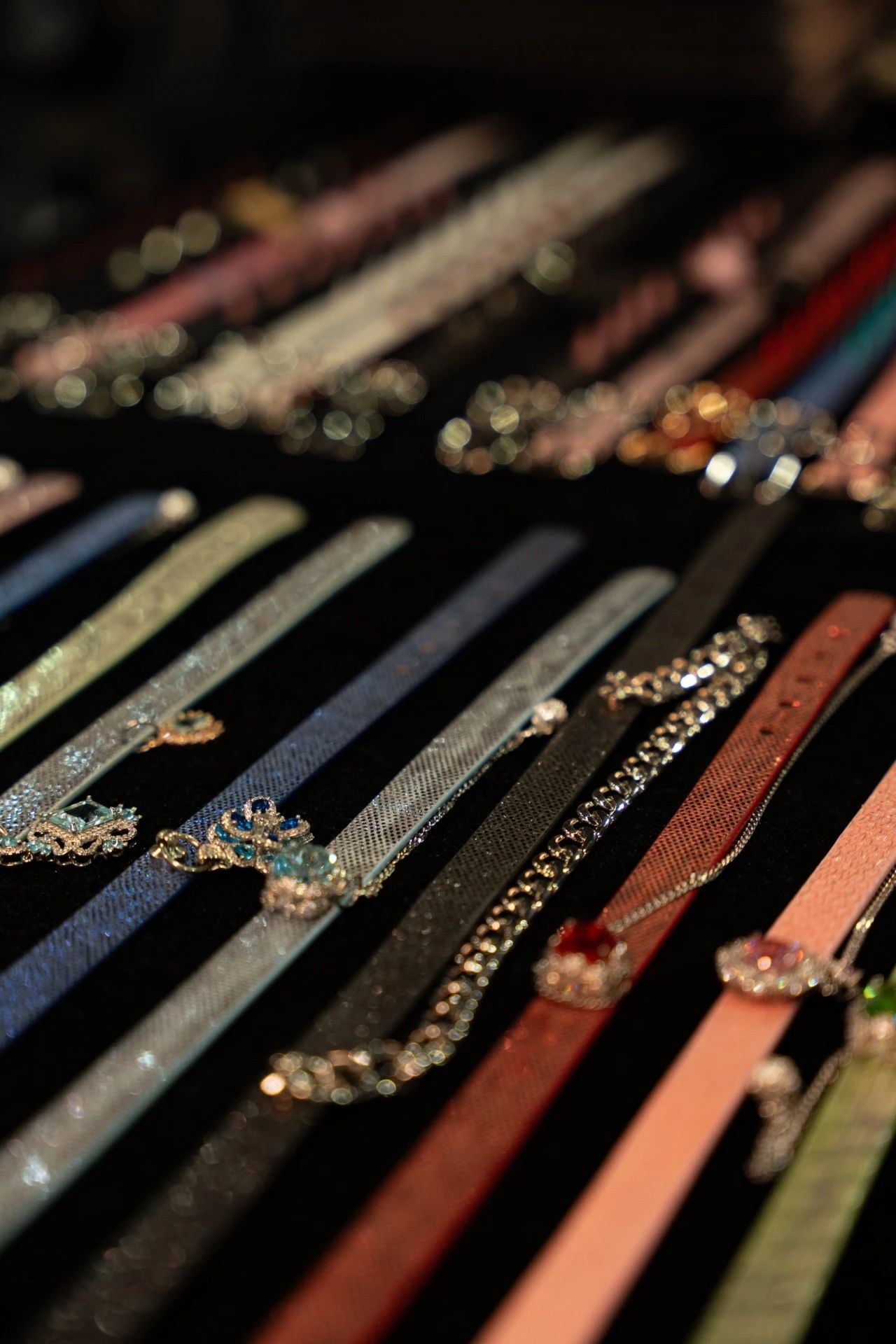 2025ȤҵչԲĻͼƬ15