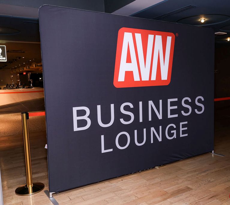 ������չ2026������˹ά��˹����չANVShow���ʼ���(3)ͼƬ27