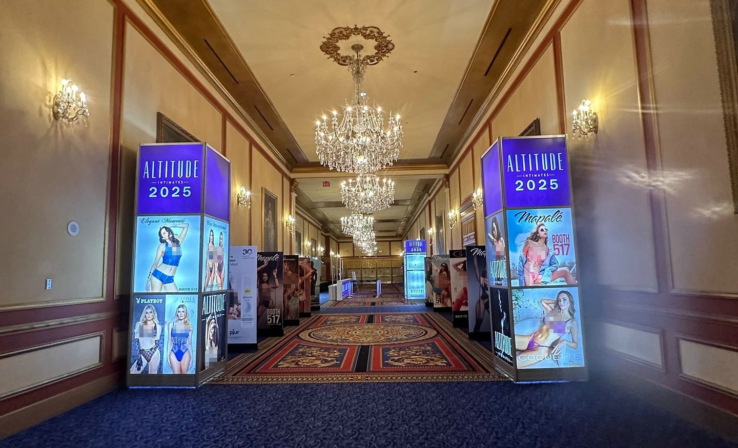 2025������˹ά��˹��ȤչAltitudeShowԲ���ɹ�ͼƬ6