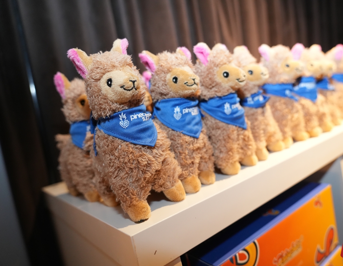 ������չ2026������˹ά��˹����չANVShow���ʼ���ͼƬ14